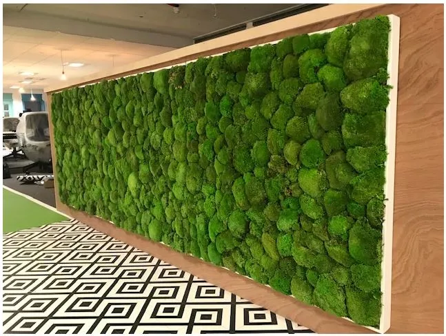 Moss Walls detail
